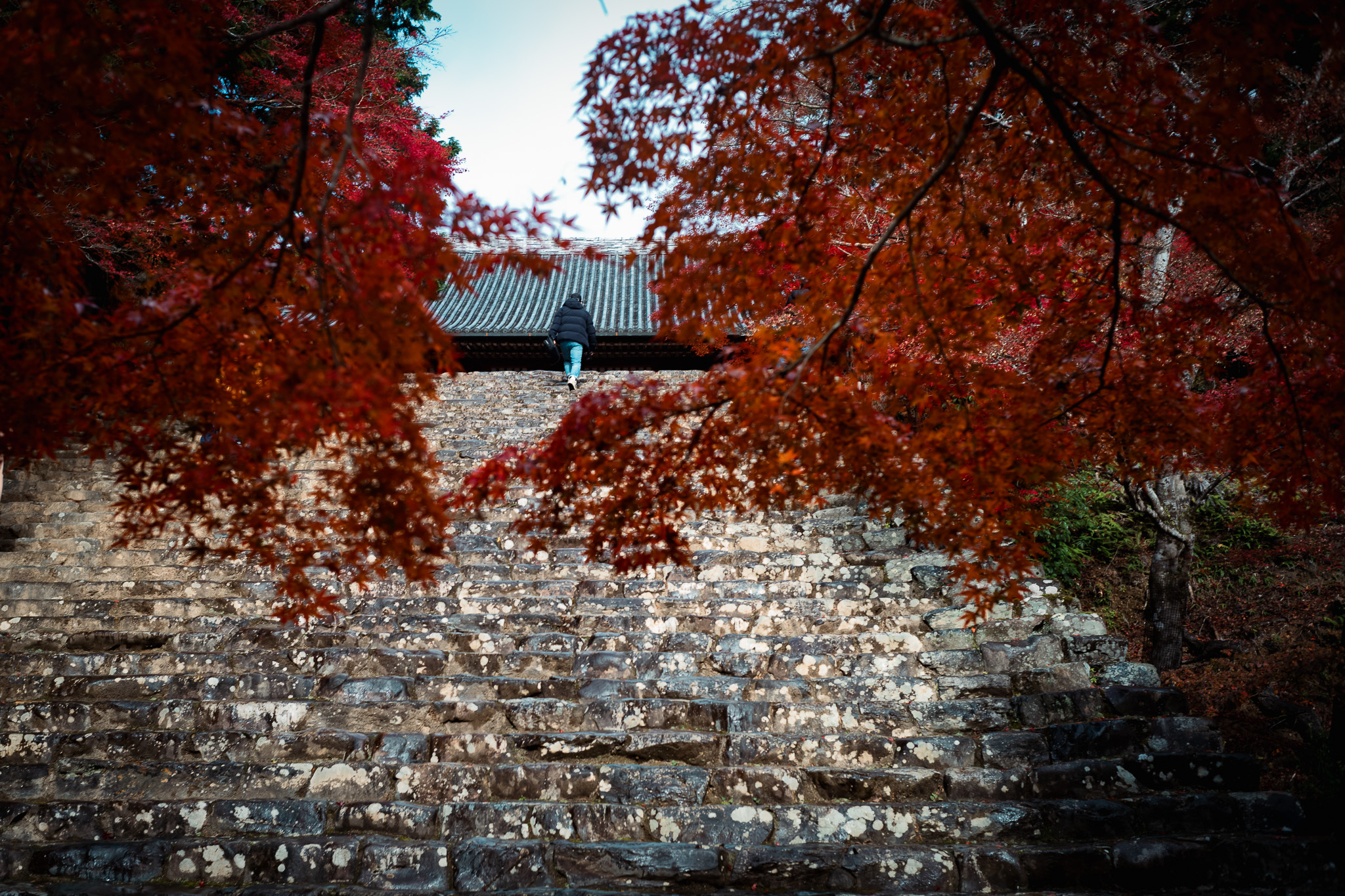 高雄山「神護寺」の大きな長い階段と山手さん
